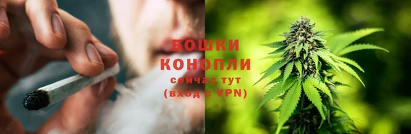 сатива Аркадак